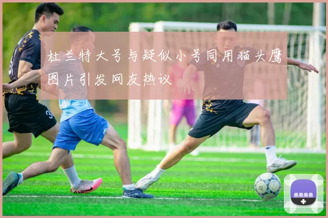 杜兰特大号与疑似小号同用猫头鹰图片引发网友热议